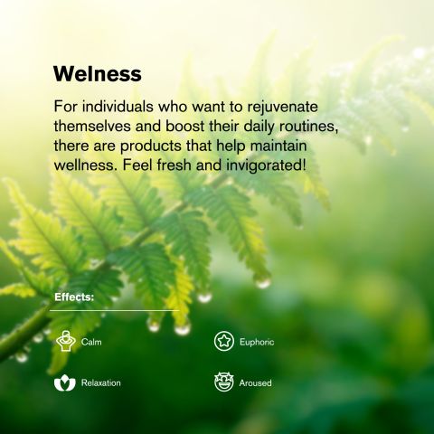 Kush Mintz Flower - THCA - Hybrid - Thumbnail 5