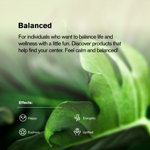 Wonder Bread Flower - THCA - Hybrid - Thumbnail 5