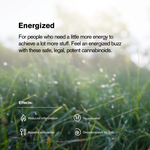 Green Crack Flower - THCA - Sativa - Thumbnail 5