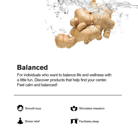 100mg Ginger Ale THC Seltzer - D9 Nano - Fresh - Thumbnail 4