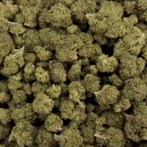 Cap Junky Flower - THCA - Indica - Video Thumbnail 1