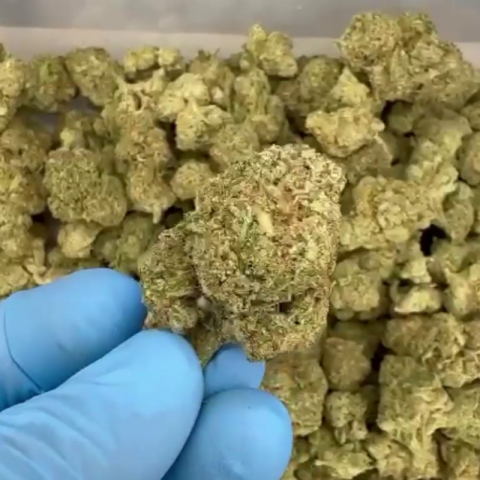 Fiji Mint Flower - THCA - Hybrid - Video Thumbnail 1