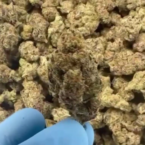 G Flower - THCA - Sativa - Video Thumbnail 1