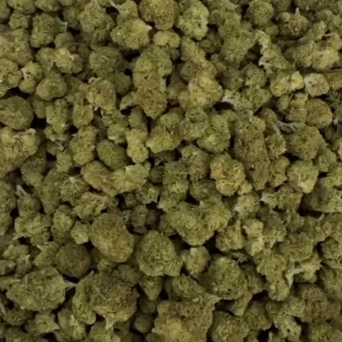 Master Kush Flower - THCA - Indica - Video Thumbnail 1