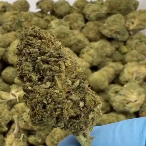 Illuminati Flower - THCA - Hybrid - Video Thumbnail 1