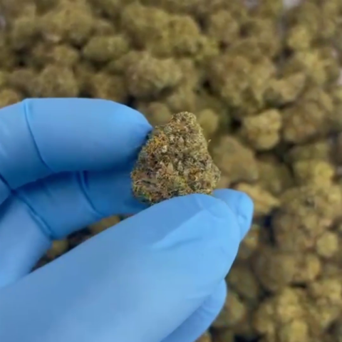 RS11 x Runtz Flower - THCA - Hybrid - Video Thumbnail 1