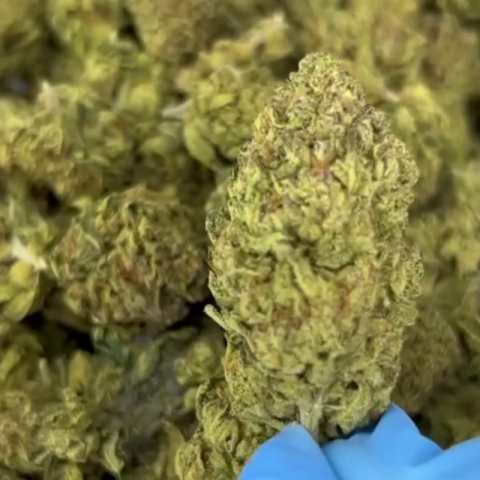 ZZ Flower - THCA - Indica - Video Thumbnail 1
